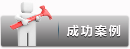 成功案例